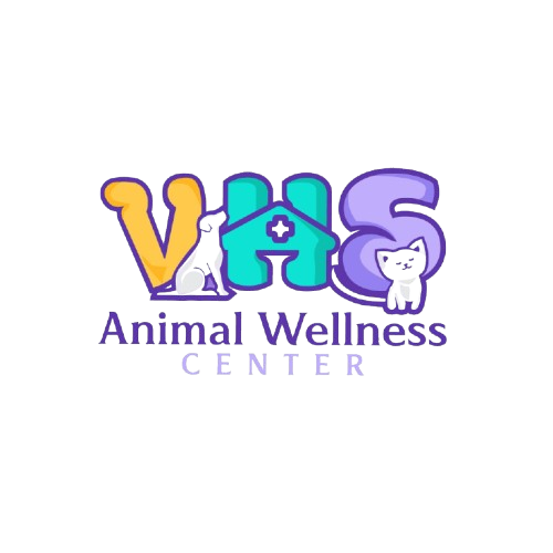 VHS Logo